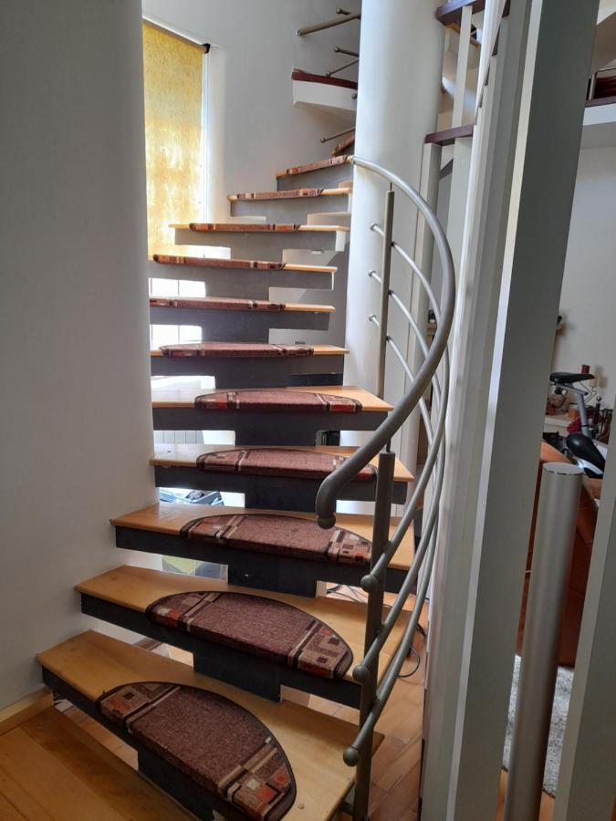 Casa Zoe Seaca Villa Călimăneşti Dış mekan fotoğraf