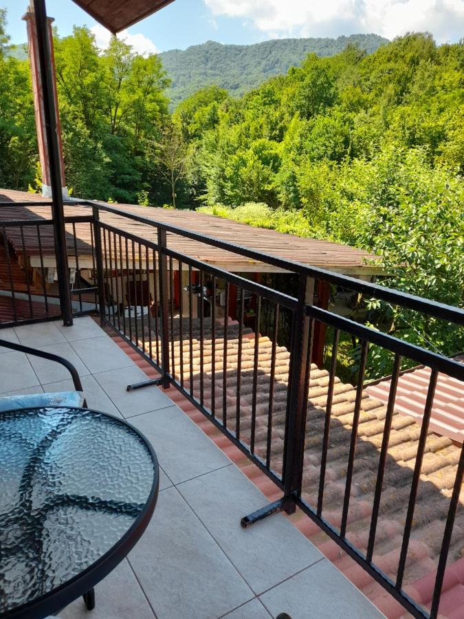 Casa Zoe Seaca Villa Călimăneşti Dış mekan fotoğraf