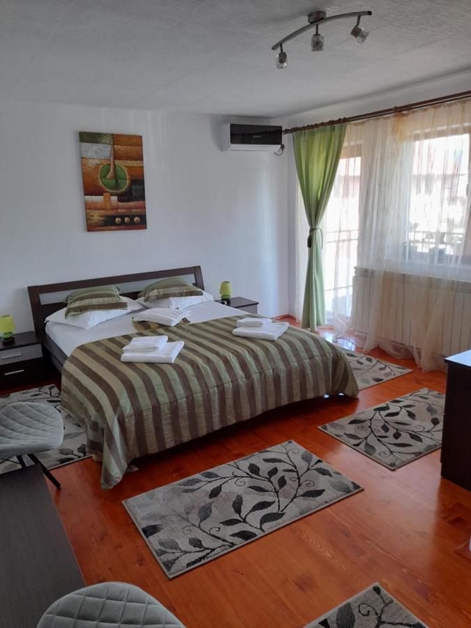 Casa Zoe Seaca Villa Călimăneşti Dış mekan fotoğraf